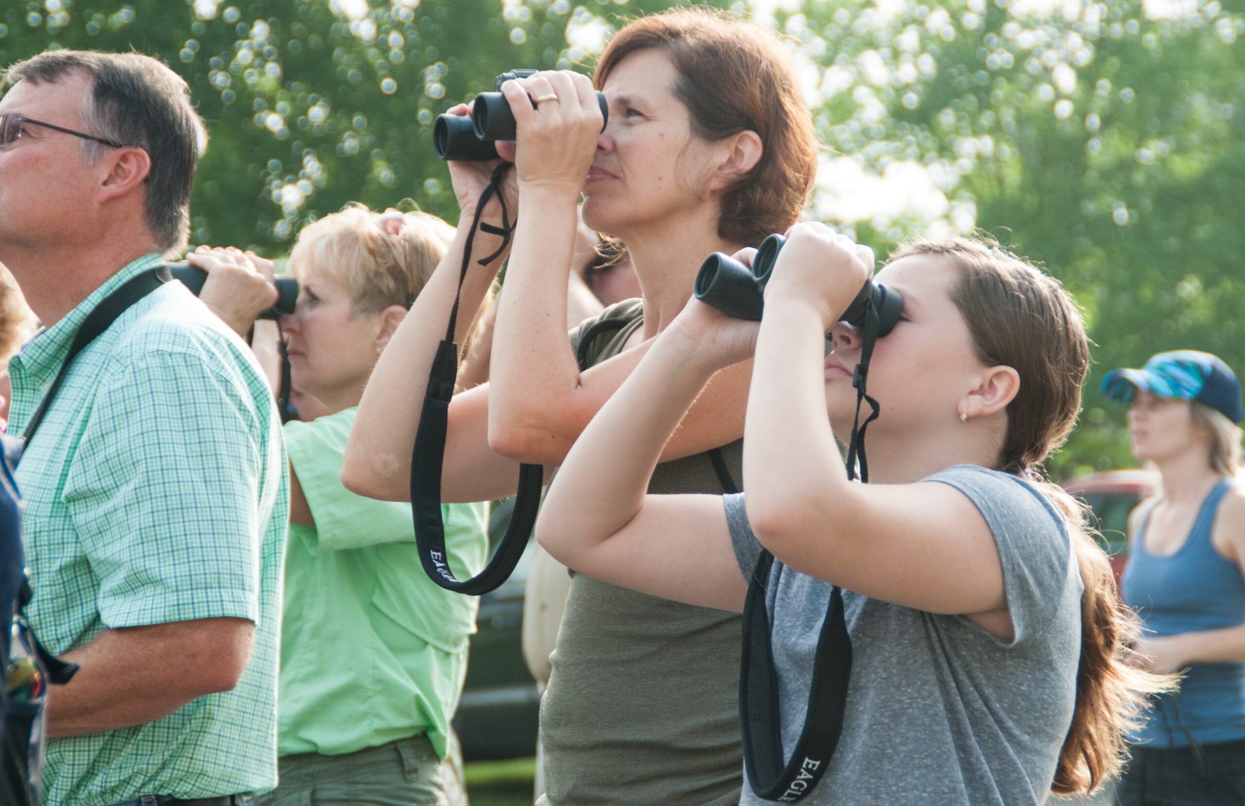 A group of people with binoculars looking for birds