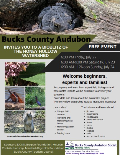 BioBlitz 2022 | Bucks County Audubon Society