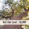 Business Partner Levels - Image 2