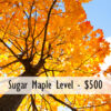 Business Partner Levels - Image 3