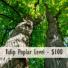 Business Partner Levels - Image 4