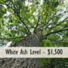 Business Partner Levels - Image 5