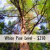 Business Partner Levels - Image 6