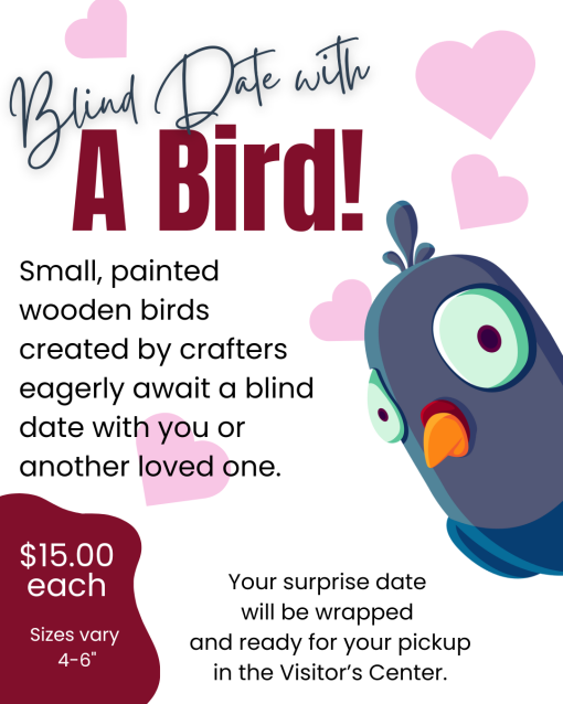 Blind Date with a Bird